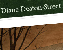 Diane Deaton-Street Photography Web Site Screenshot