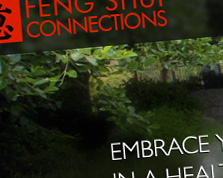Feng Shui Connections Web Site Screenshot